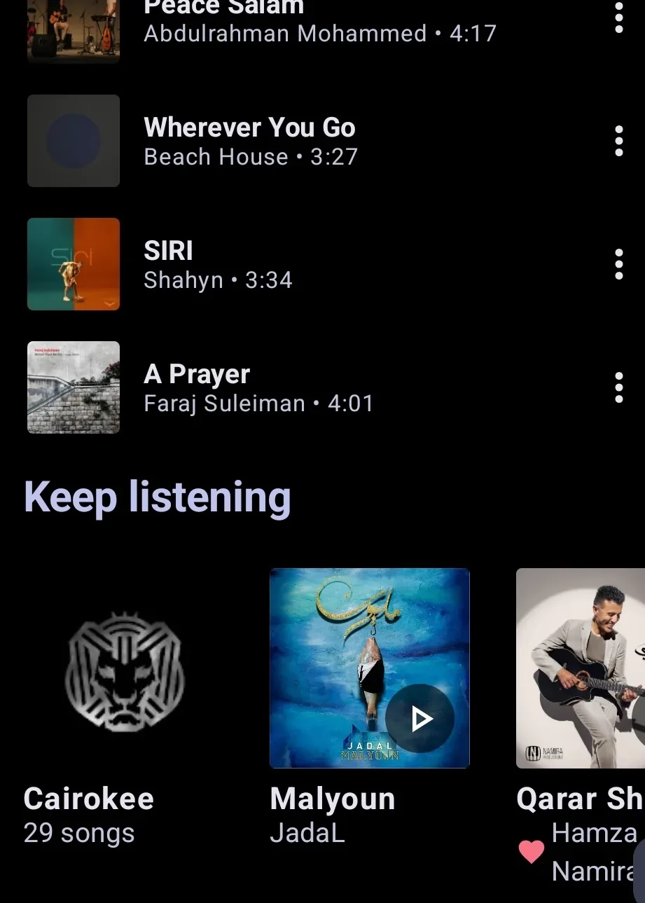 Tela de playlist do MetroList com faixas e capas antes da exportação